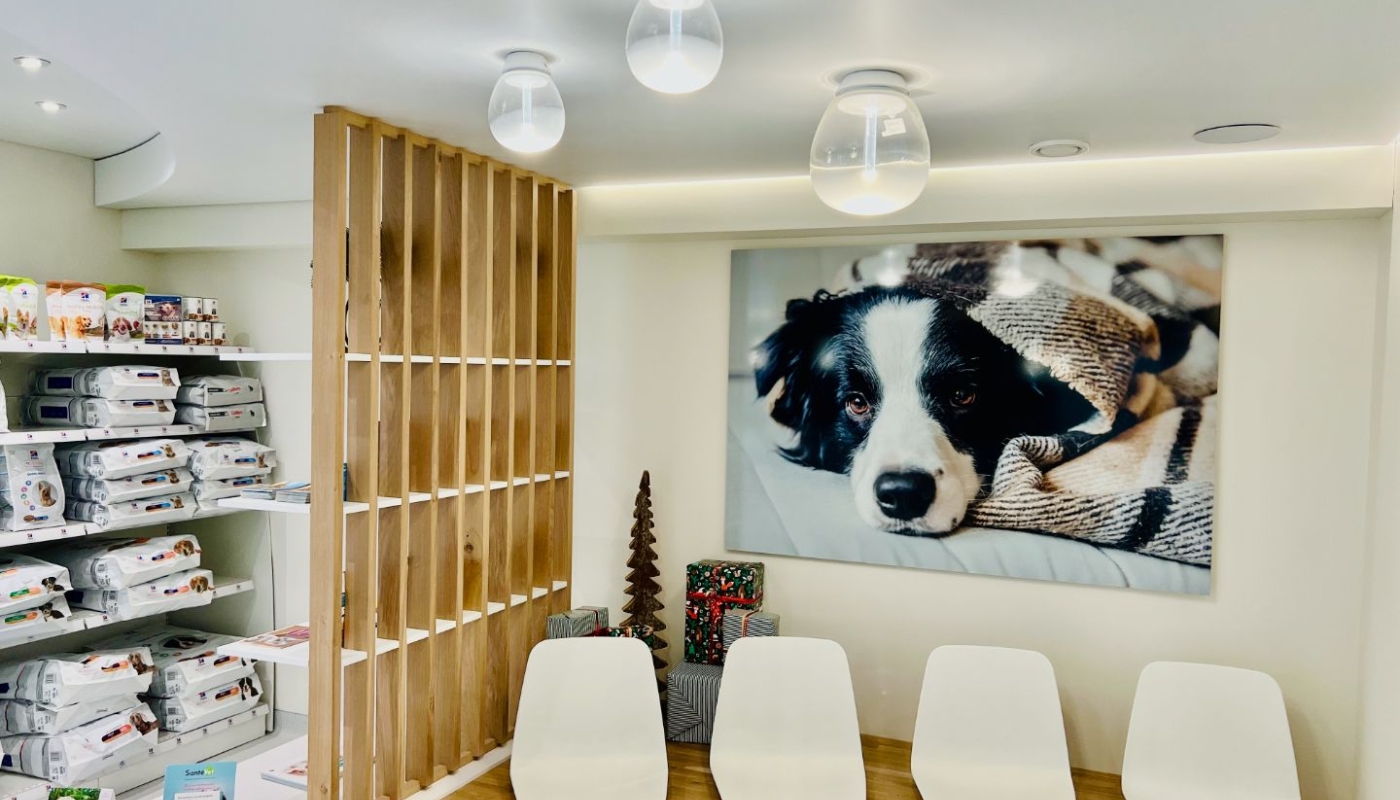 Clinique vétérinaire à Theux: Mont Animal:acoustique.2.jpeg