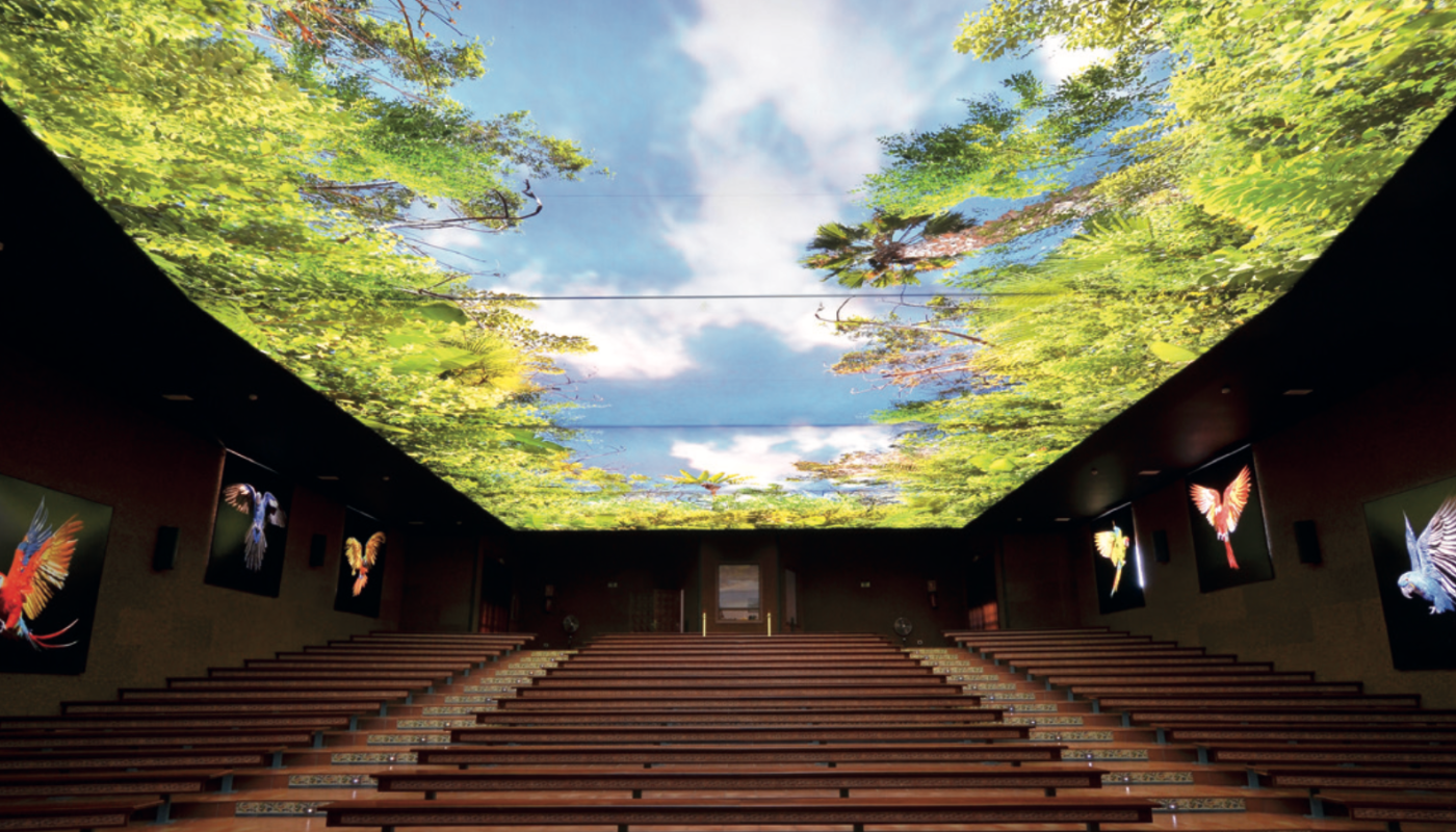 Plafond tenu imprimé - Print Your Mind