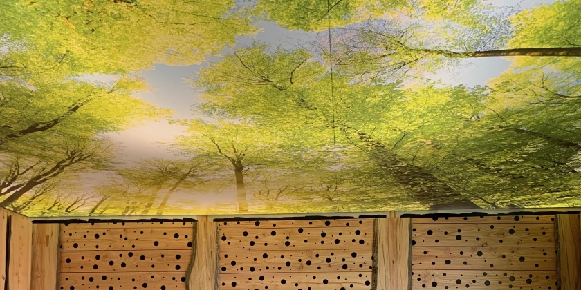 Ardenne autrementI: Imprimé lumineux à la roche jpeg.jpeg