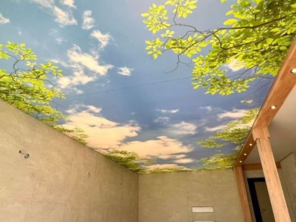 plafond-tendu-retro-eclaire.jpg