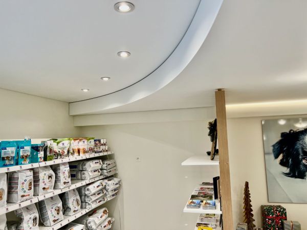 Plafond lumineux avec spots - Clinique vétérinaire Mont Animal