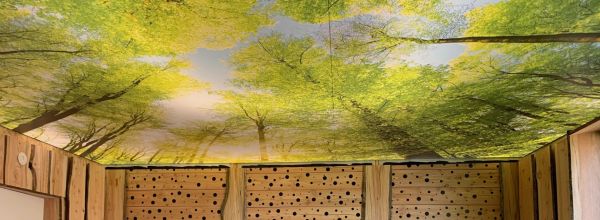 Plafond tendu imprimé lumineux - Ardenne Autrement